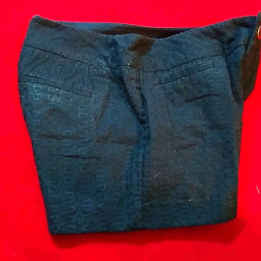 Banana Republic shorts